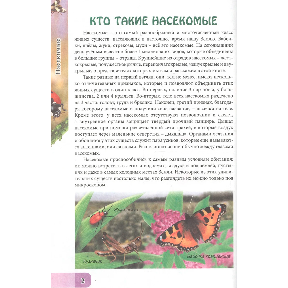 Книга Энциклопедия В Мире знаний 978-5-378-27552-6 Удивительный мир насекомых Книга Энциклопедия В Мире знаний 978-5-378-27552-6 Удивительный мир насекомых
