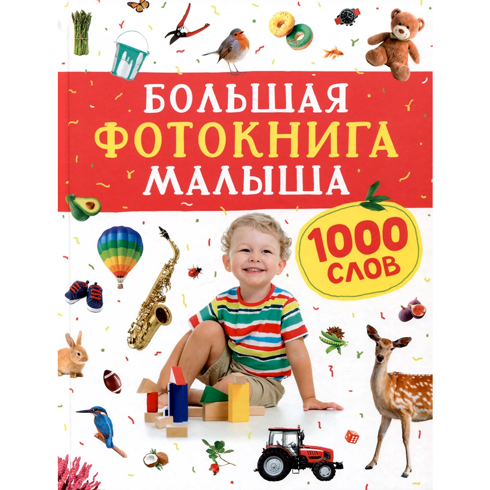 Книга 978-5-353-10544-2 Большая фотокнига малыша. 1000 слов