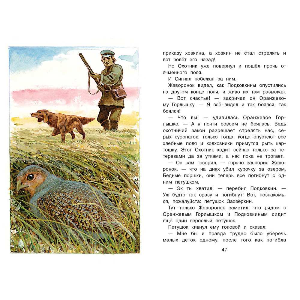 Книга 12155 Тайна ночного леса Книга 12155 Тайна ночного леса