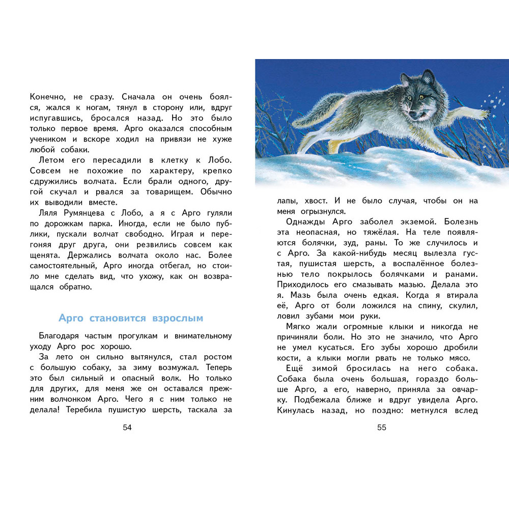 Книга 12157 Фомка - белый медвежонок Книга 12157 Фомка - белый медвежонок