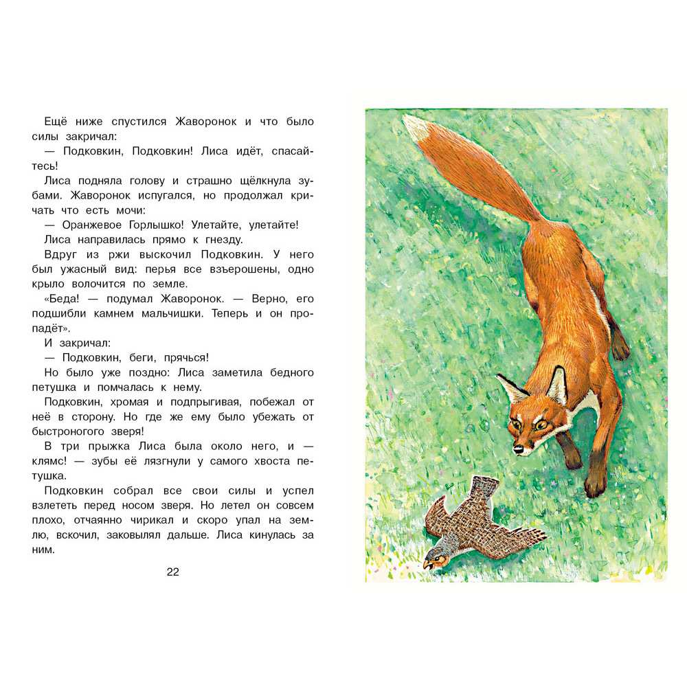 Книга 12155 Тайна ночного леса Книга 12155 Тайна ночного леса